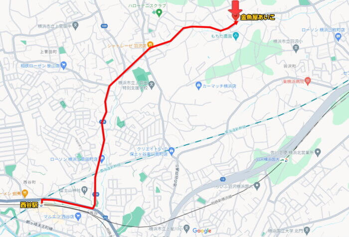 金魚屋あいこ 神奈川県横浜市神奈川区