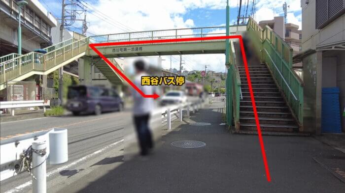 金魚屋あいこ 神奈川県横浜市神奈川区