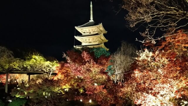 京都のアクアショップ