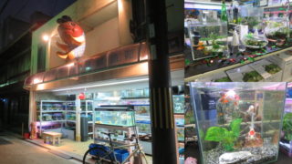 京都魚苑