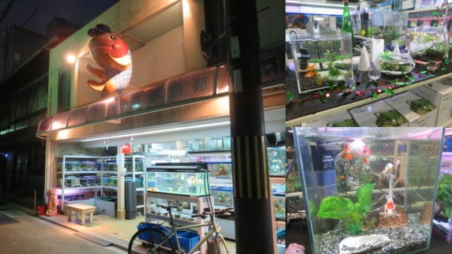 京都魚苑