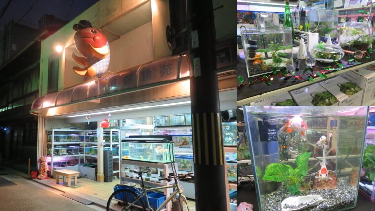 京都魚苑
