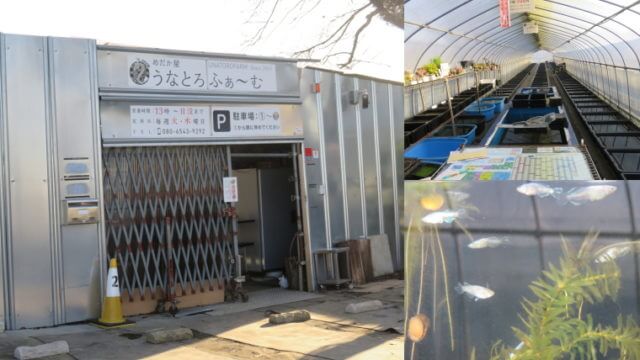 うなとろふぁ～む