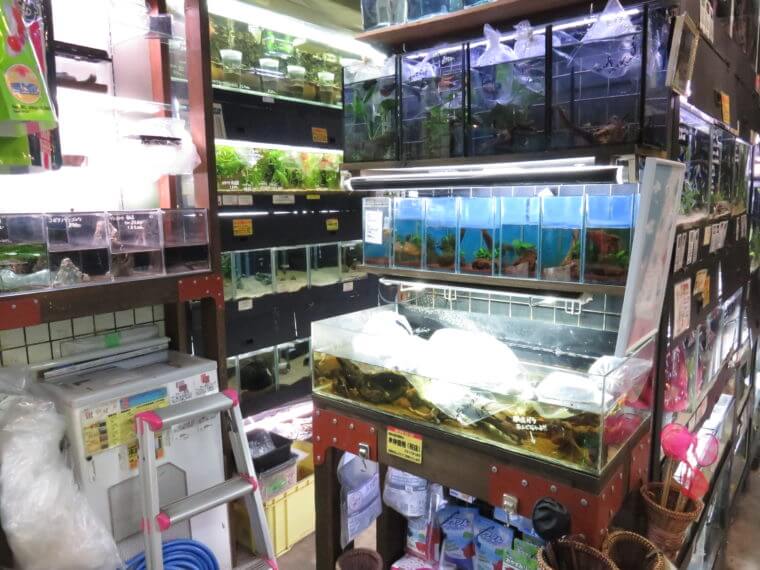 アクアフィールド