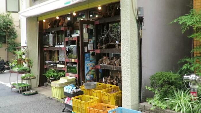 アクアフィールド