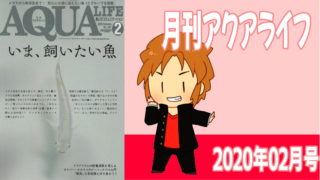 月刊アクアライフ2020年02月号「いま、飼いたい魚」