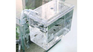 チャーム サテライトM