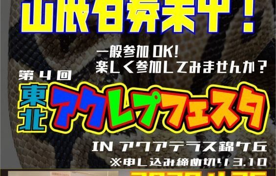 第4回 東北アクレプフェスタ