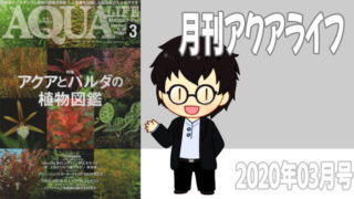 月刊アクアライフ2020年03月号「アクアとパルダの植物図鑑」