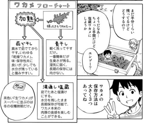 出典:いそあそび