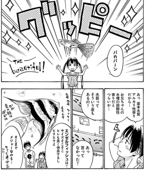 出典:ミズハコセカイ