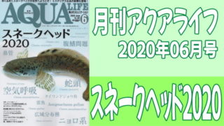 月刊アクアライフ2020年06月号「スネークヘッド2020」