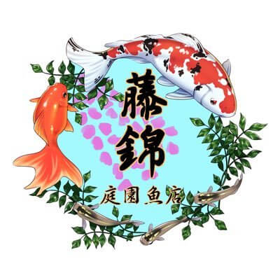 藤錦 庭園魚店