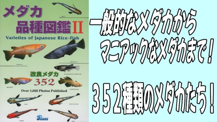 メダカ品種図鑑Ⅱ