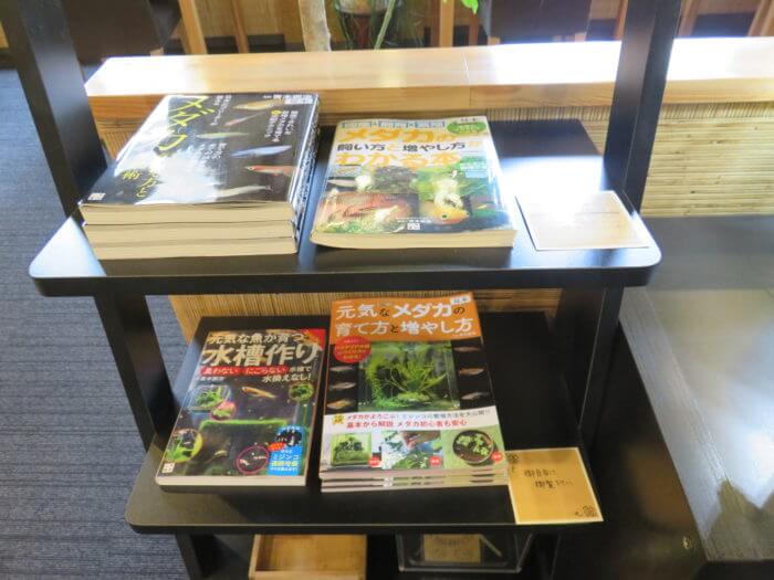 メダカフェ侘寂