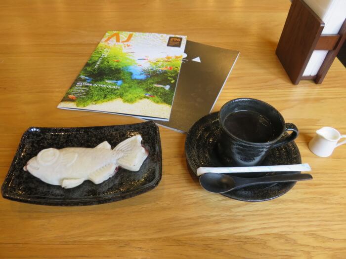 メダカフェ侘寂