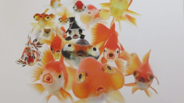 踊る金魚展 2020