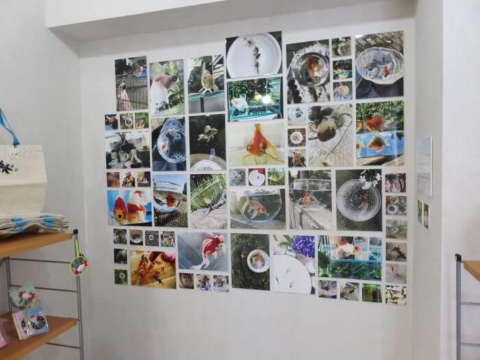 踊る金魚展 2020