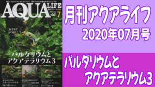月刊アクアライフ2020年07月号「パルダリウムとアクアテラリウム３」