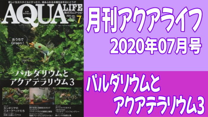 月刊アクアライフ2020年07月号「パルダリウムとアクアテラリウム３」