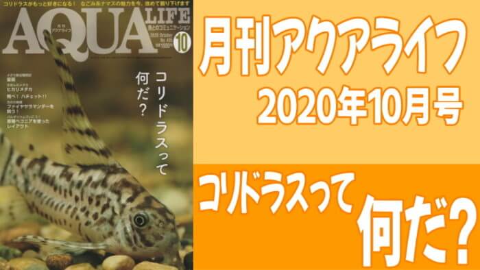 月刊アクアライフ2020年10月号「コリドラスって何だ？」