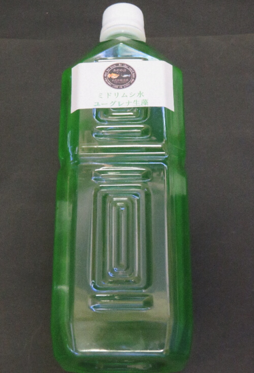 ミドリムシ（ユーグレナ）の培養方法