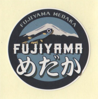 FUJIYAMAめだか