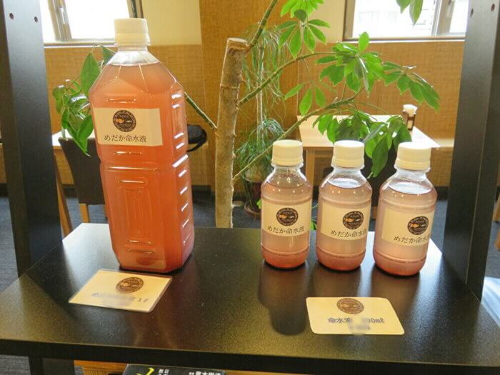 メダカフェ侘寂