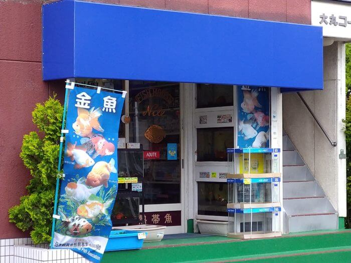 フィッシュハウス ナイル