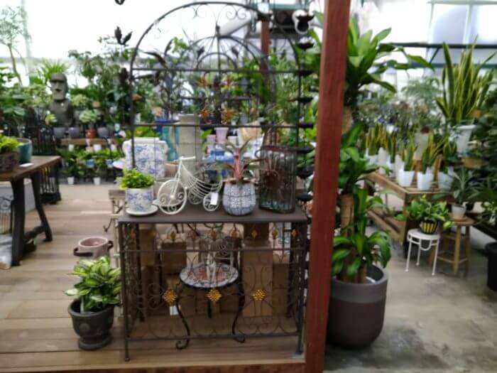 ファーマーズガーデン