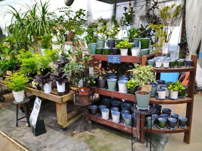 ファーマーズガーデン