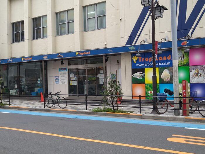 ropiLand(トロピランド) 荒川店