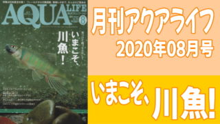 月刊アクアライフ2020年08月号「今こそ、川魚（にったん）！ -見つけて、飼って、ふやして-」