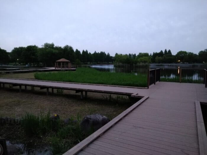 モアアクアガーデン