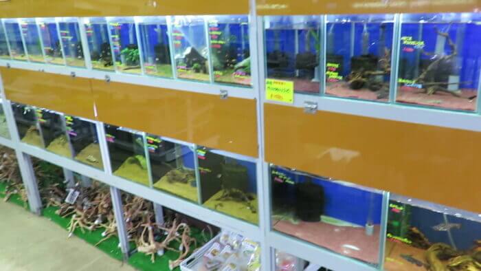 モアアクアガーデン