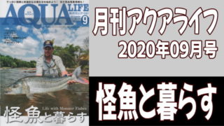 月刊アクアライフ2020年09月号「怪魚と暮らす」