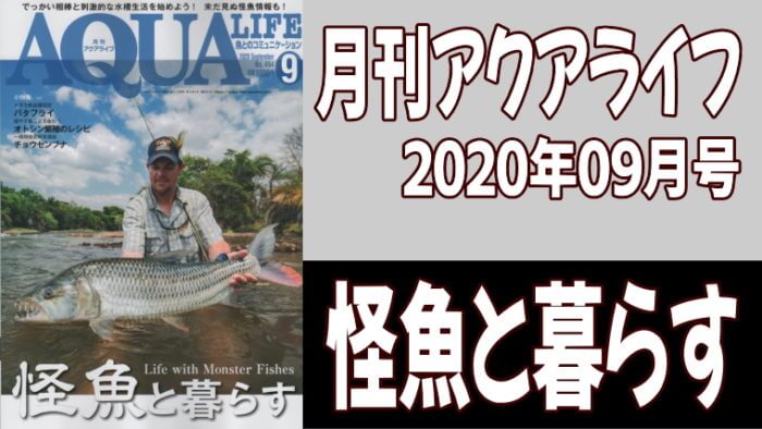 月刊アクアライフ2020年09月号「怪魚と暮らす」