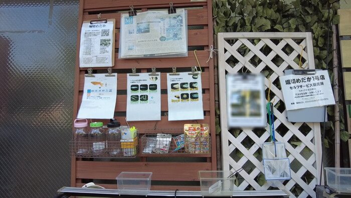 堀切めだか1号店