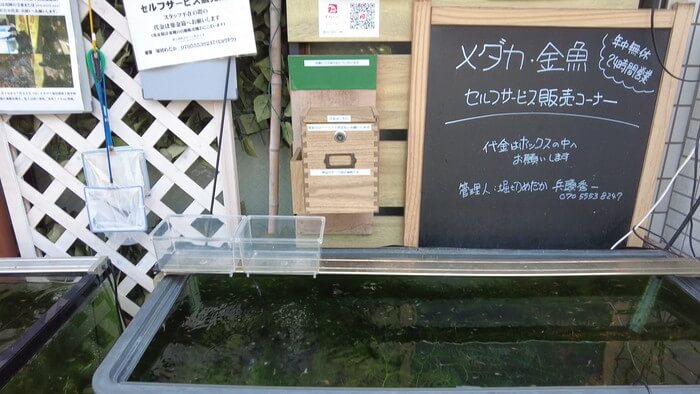 堀切めだか1号店