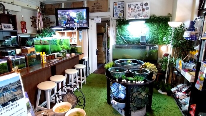 堀切めだか1号店