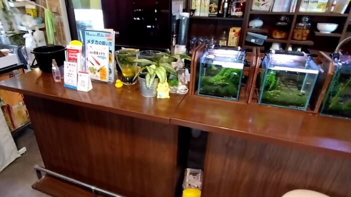 堀切めだか1号店