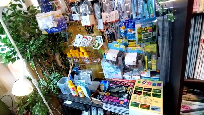 堀切めだか1号店