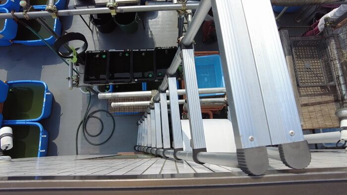 堀切めだか1号店