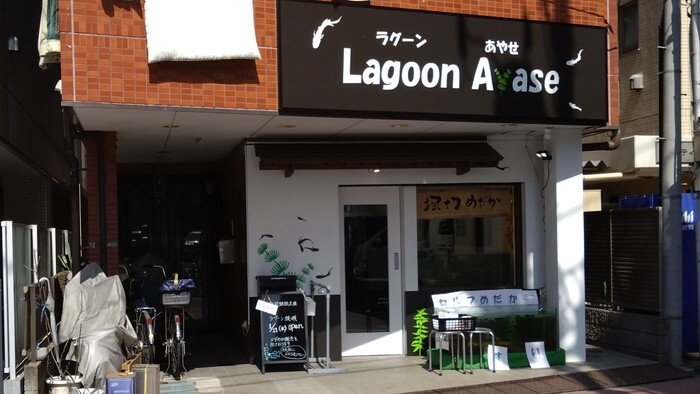 堀切めだか9号店