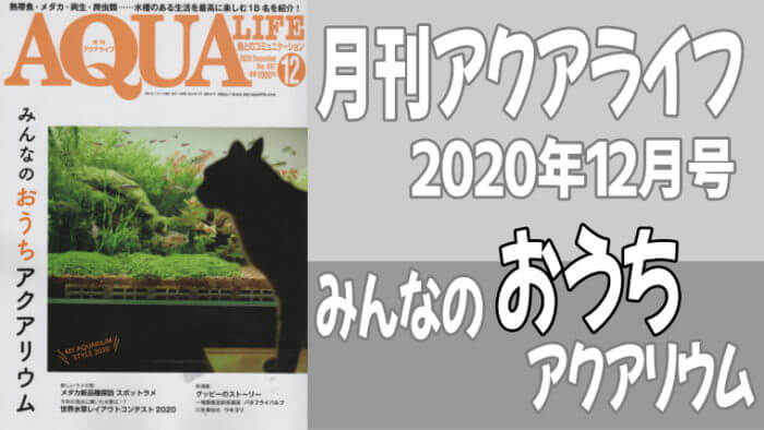 月刊アクアライフ2020年12月号「みんなのおうちアクアリウム」