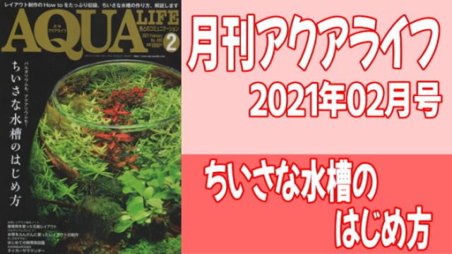 月刊アクアライフ2021年02月号「ちいさな水槽のはじめ方」