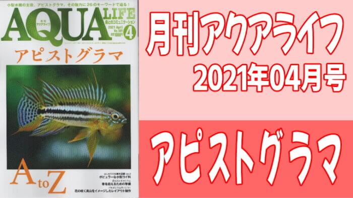 月刊アクアライフ2021年04月号 アピストグラマ