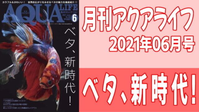 月刊アクアライフ2021年06月号 『ベタ、新時代！』