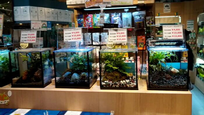 アクアフォレスト ソラマチ店