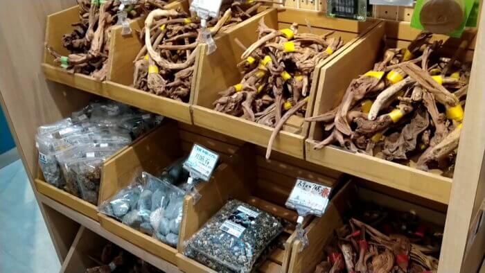 アクアフォレスト ソラマチ店